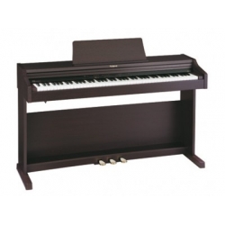 Roland RP 101RW